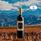 Vinho Tinto Puente Sur Bonarda 750ML