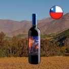 Vinho Tinto La Perla Single Vineyard Cabernet Sauvignon 750ML