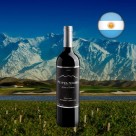 Vinho Tinto Punta Negra Malbec 750ML