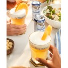 Cerveja Hoegaarden Lata 269 ml com 8 unidades